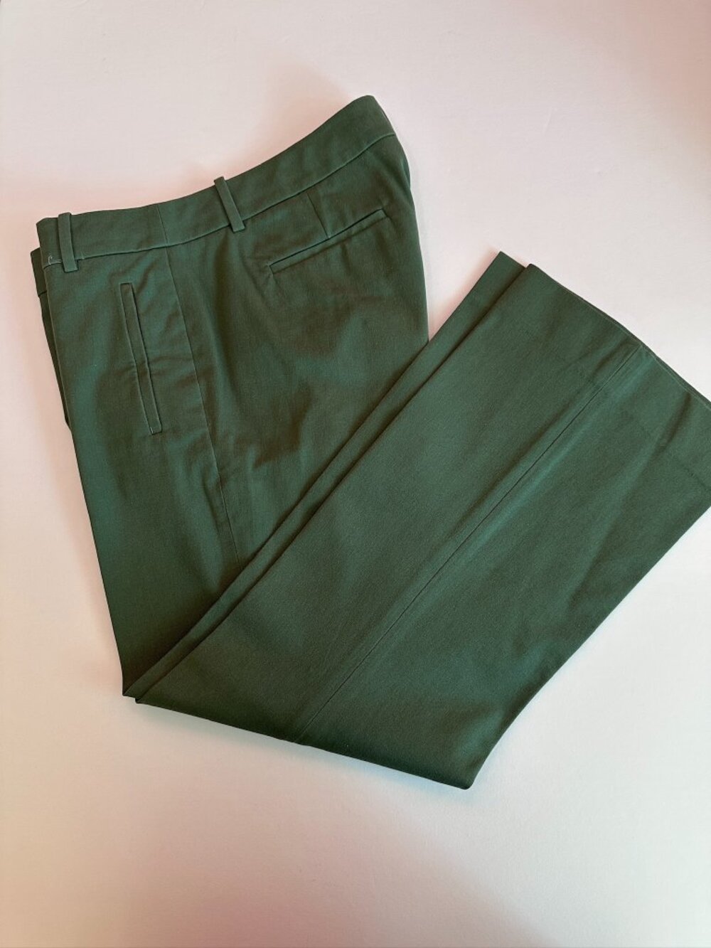 TALL 8 J Crew Teddie Pant